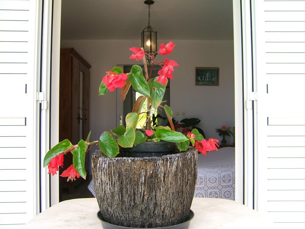 Holiday Home La Caverne Des Hirondelles سانت-جوزيف المظهر الخارجي الصورة